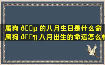 属狗 🐵 的八月生日是什么命（属狗 🐶 八月出生的命运怎么样）